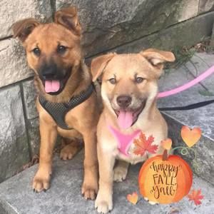 Meet your Posher, Joelle